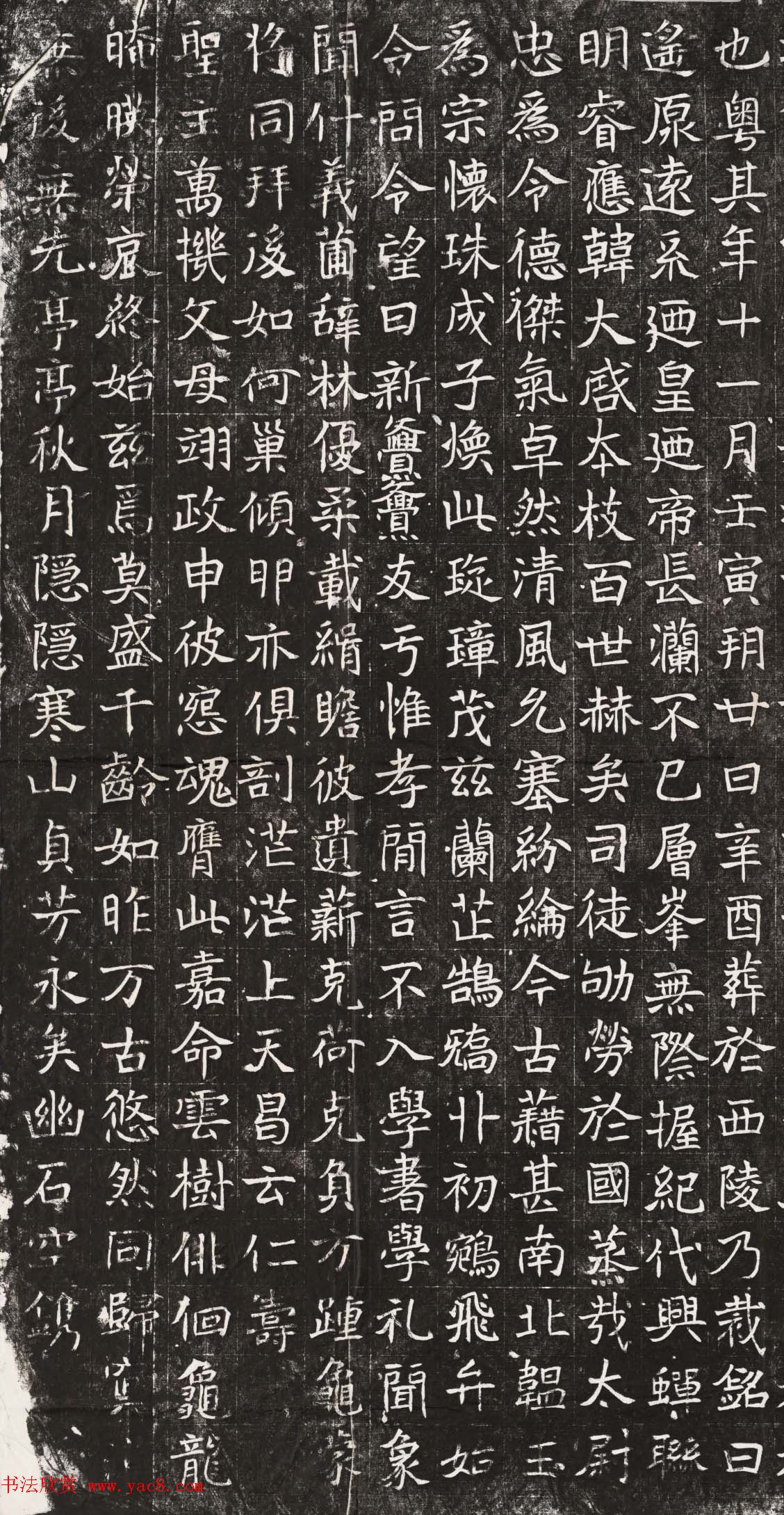 北魏正书石刻欣赏《元晫墓志》高清拓本