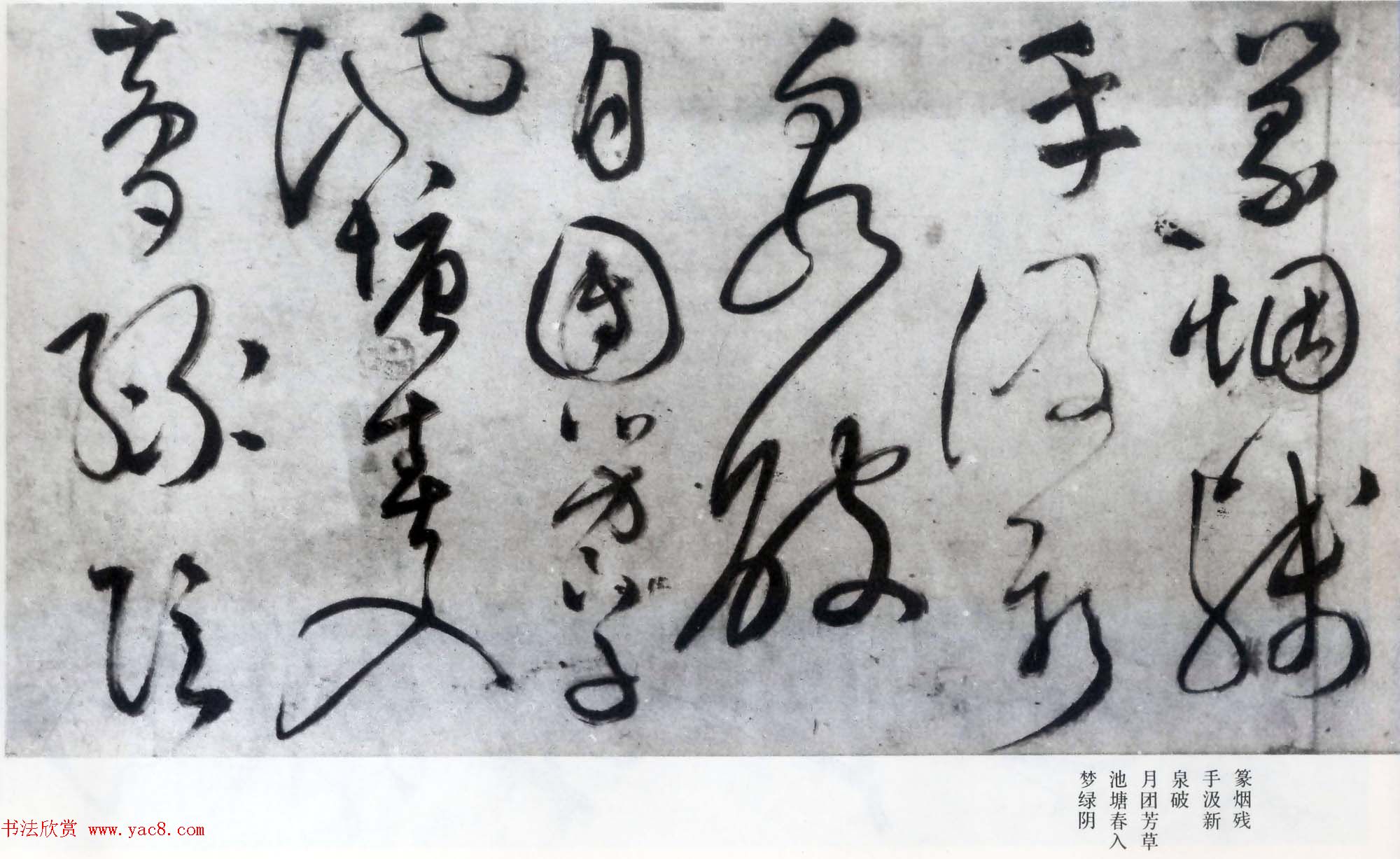 文徵明草书诗卷赏析《七律诗三首》