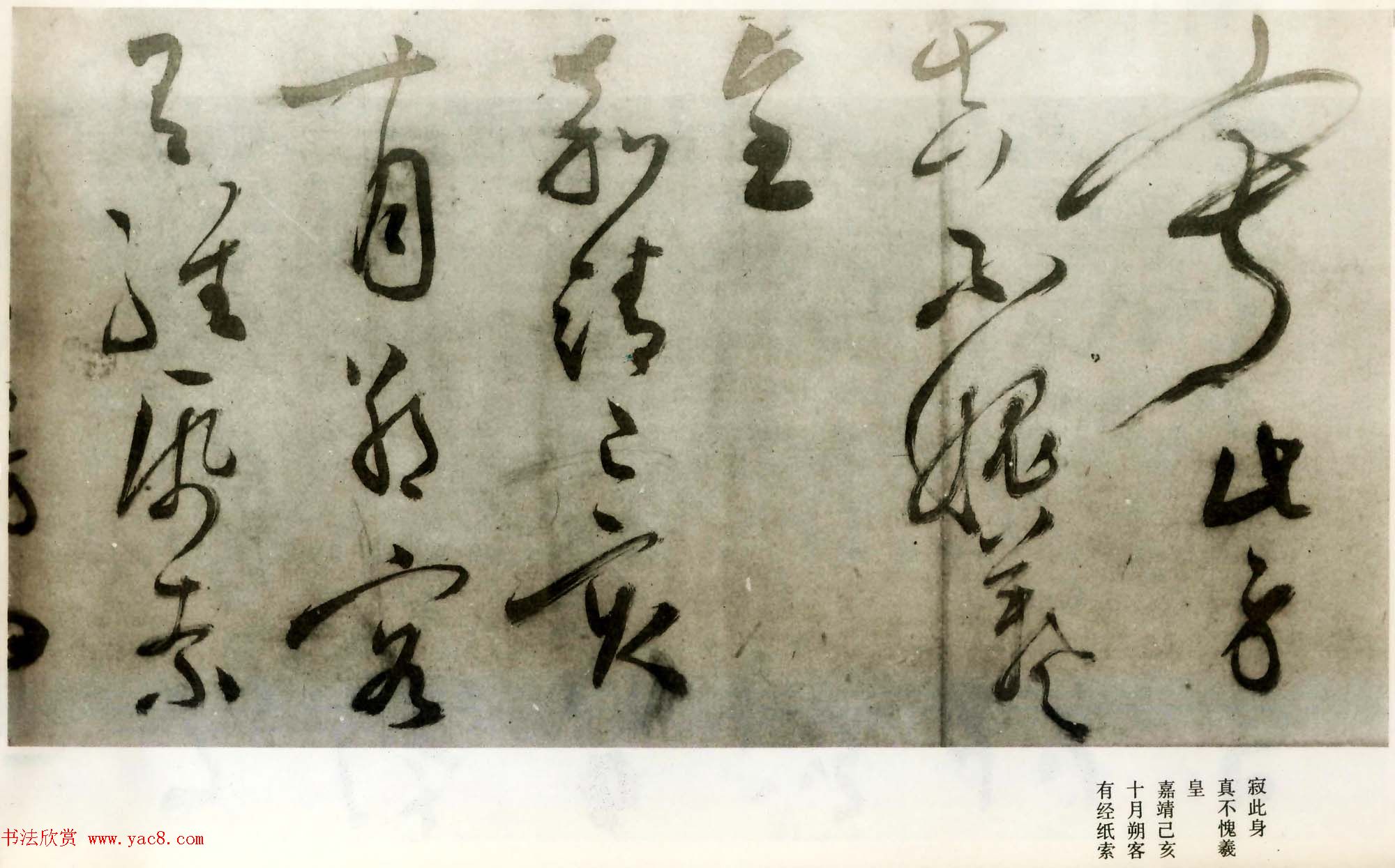 文徵明草书诗卷赏析《七律诗三首》