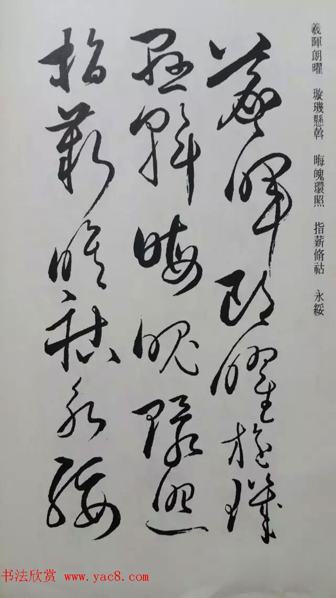 罕见的怀素草书《千字文》净云枝藏帖