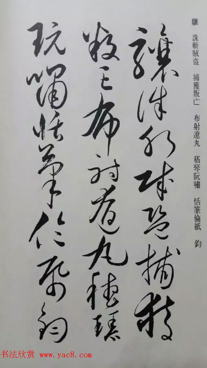 罕见的怀素草书《千字文》净云枝藏帖