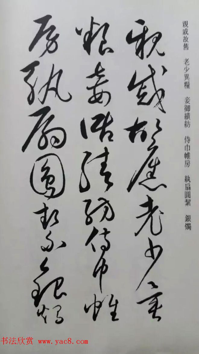 罕见的怀素草书《千字文》净云枝藏帖