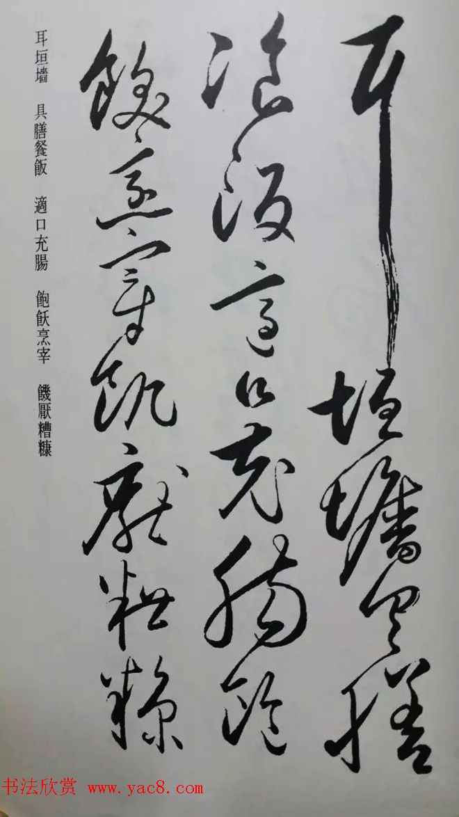 罕见的怀素草书《千字文》净云枝藏帖