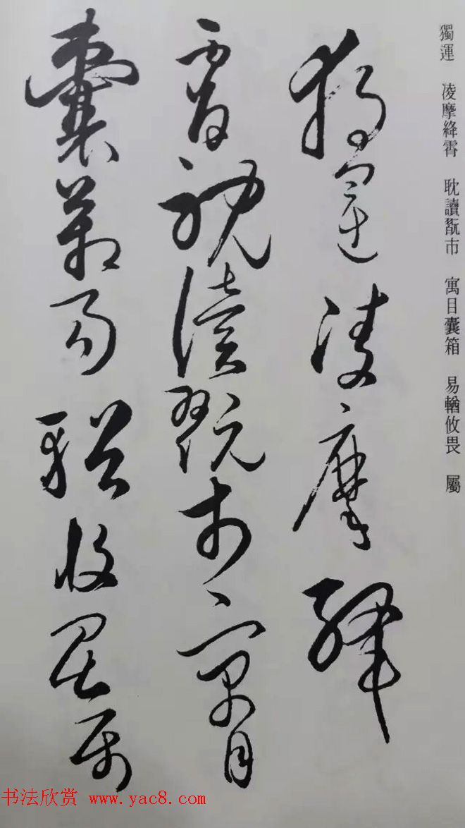 罕见的怀素草书《千字文》净云枝藏帖