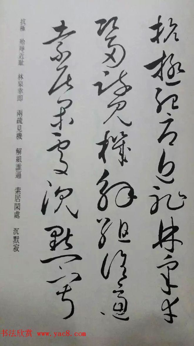 罕见的怀素草书《千字文》净云枝藏帖