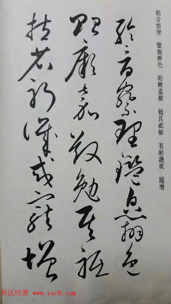 罕见的怀素草书《千字文》净云枝藏帖