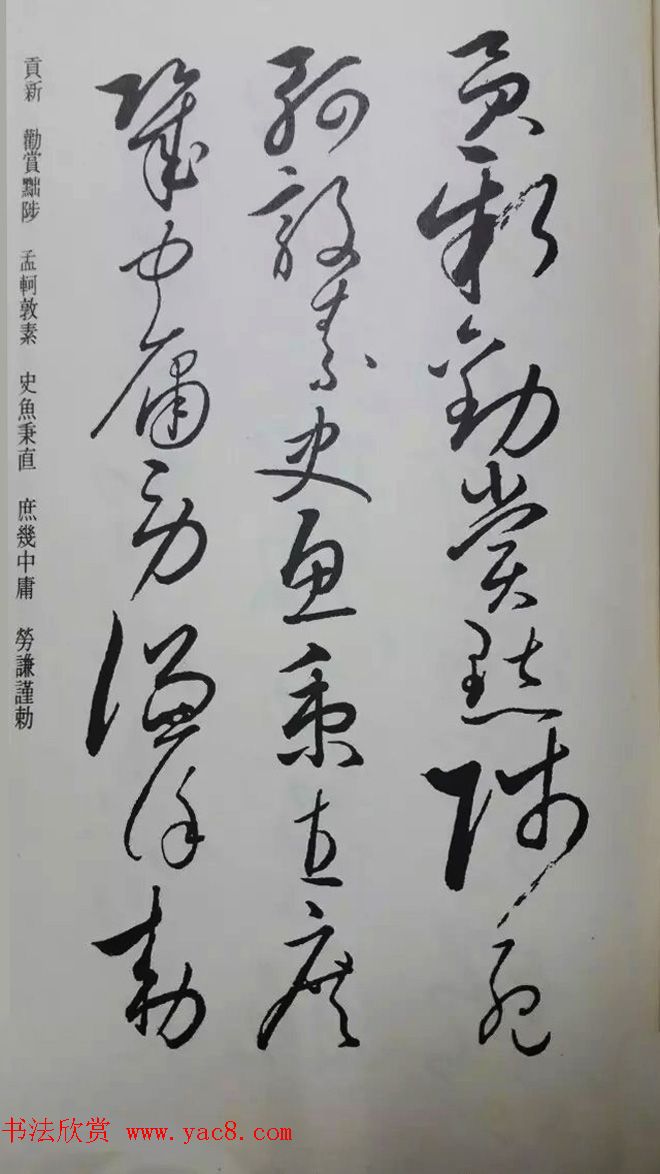 罕见的怀素草书《千字文》净云枝藏帖