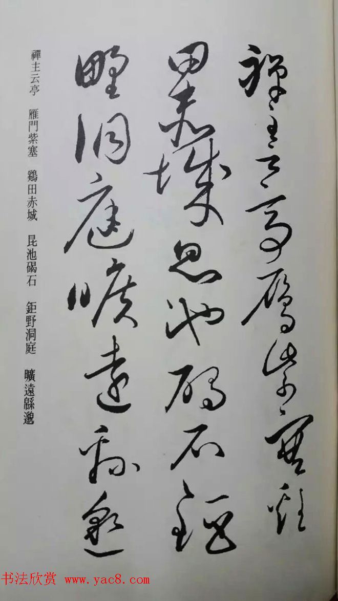 罕见的怀素草书《千字文》净云枝藏帖