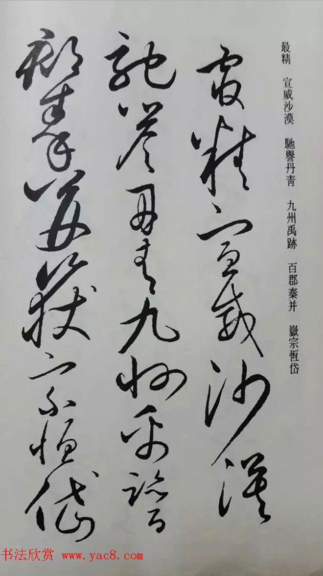 罕见的怀素草书《千字文》净云枝藏帖