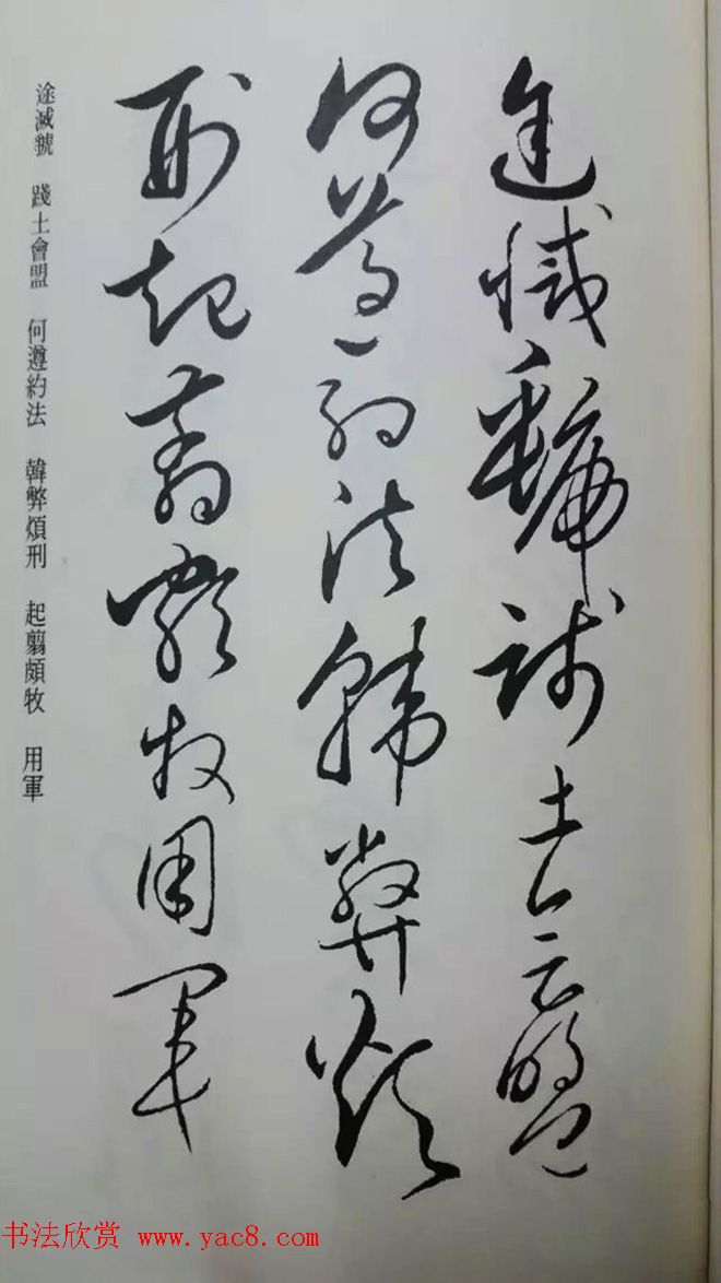 罕见的怀素草书《千字文》净云枝藏帖