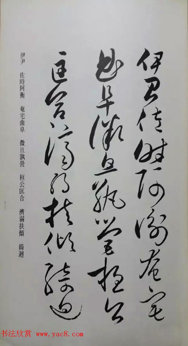 罕见的怀素草书《千字文》净云枝藏帖