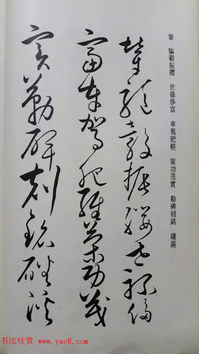 罕见的怀素草书《千字文》净云枝藏帖