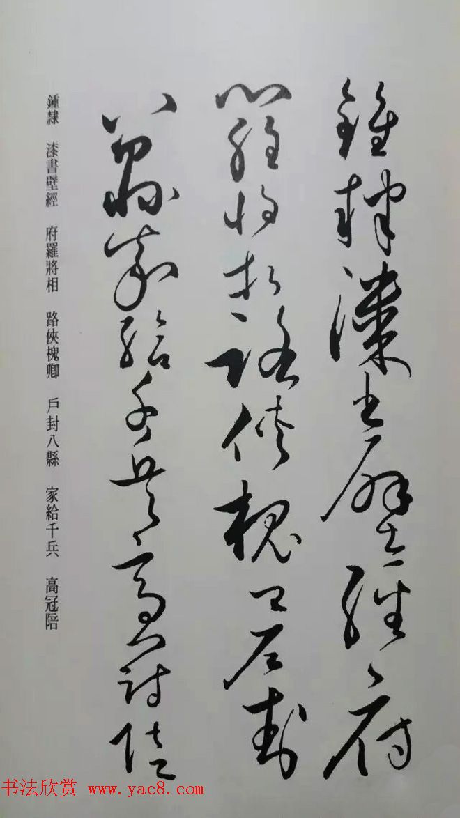 罕见的怀素草书《千字文》净云枝藏帖