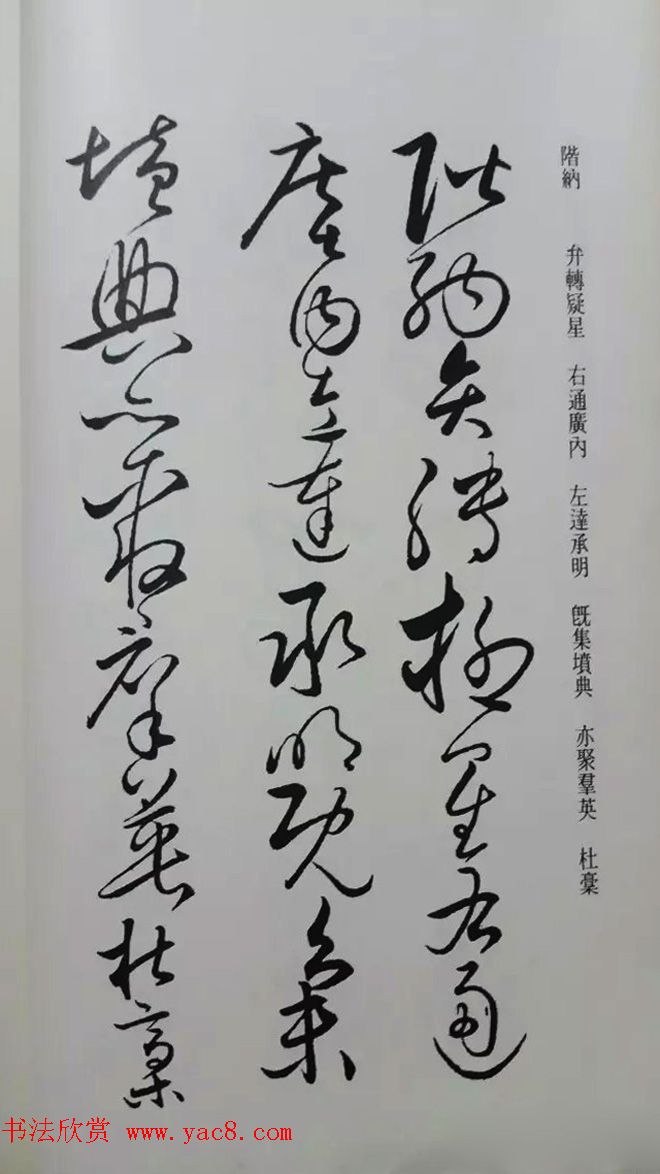 罕见的怀素草书《千字文》净云枝藏帖