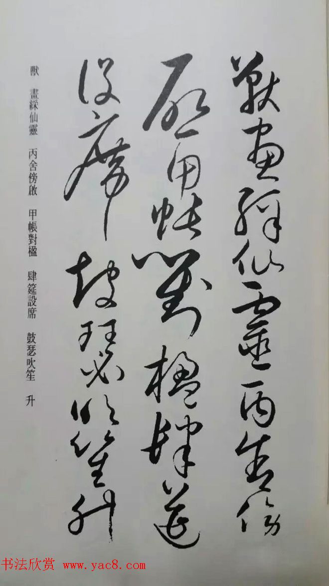 罕见的怀素草书《千字文》净云枝藏帖