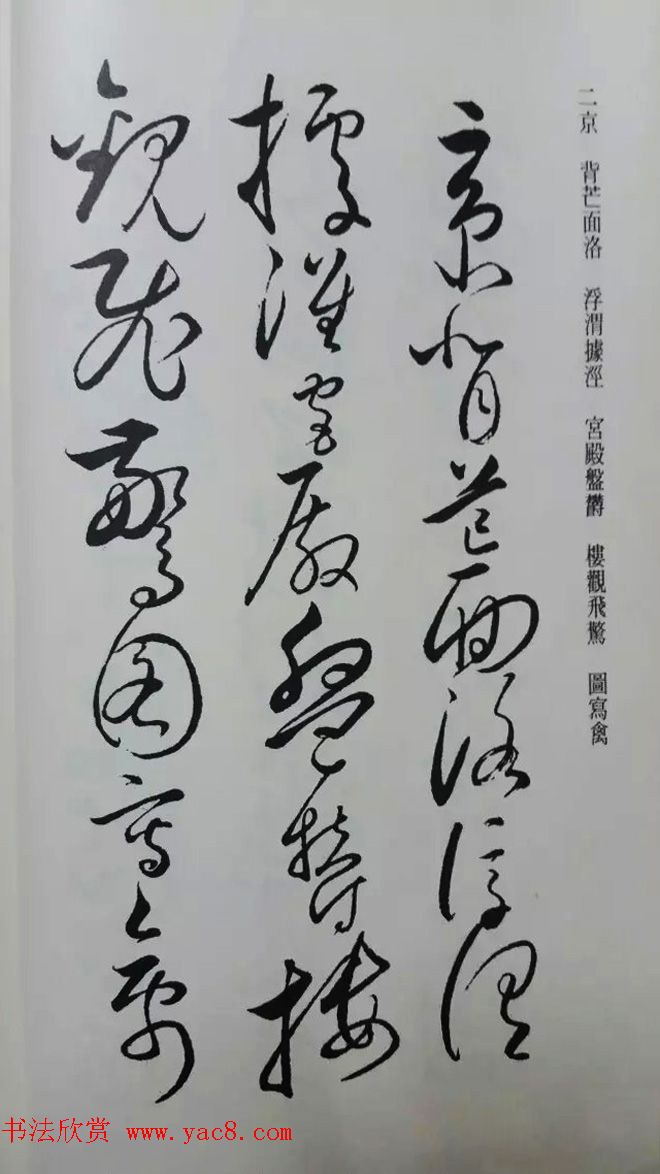 罕见的怀素草书《千字文》净云枝藏帖