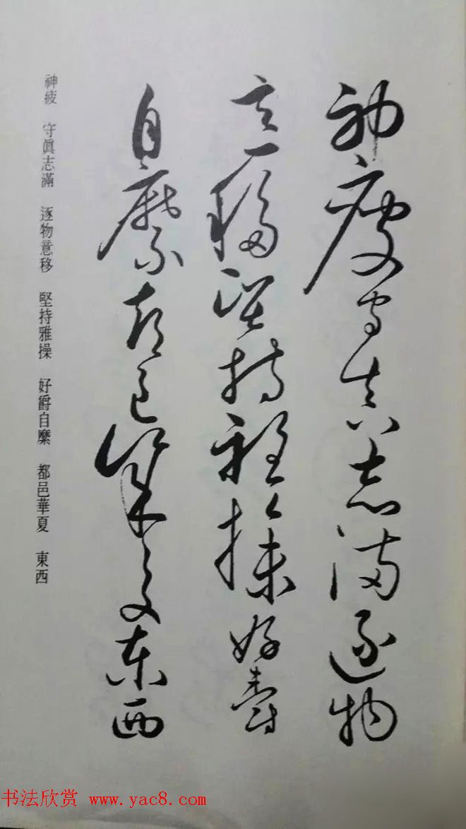 罕见的怀素草书《千字文》净云枝藏帖