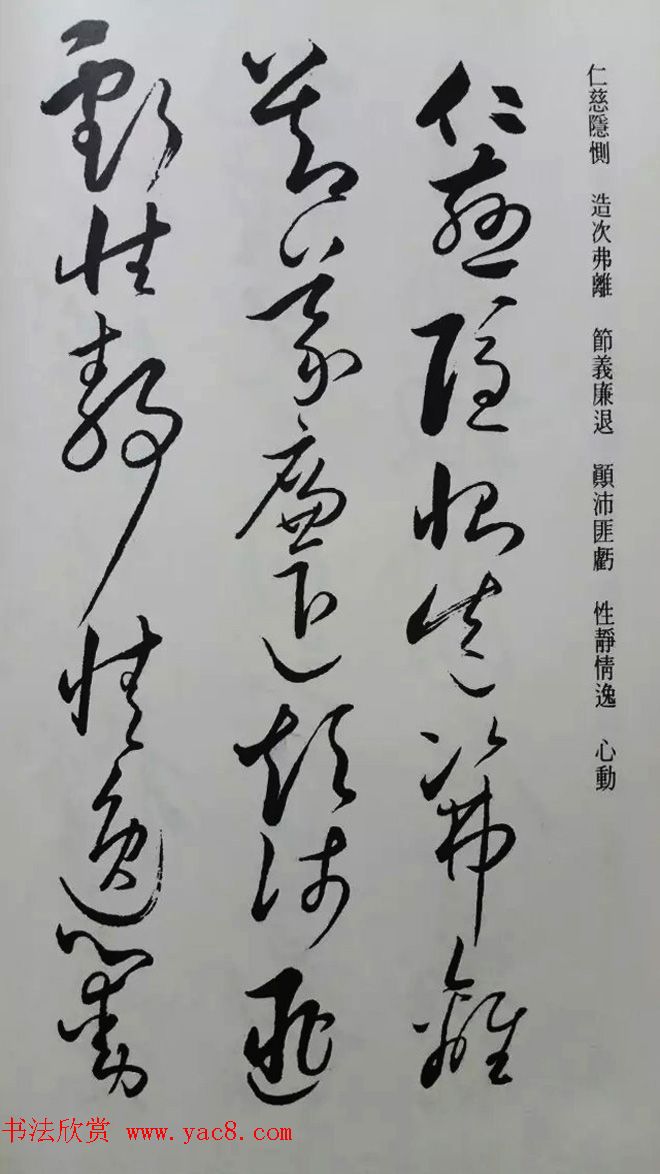 罕见的怀素草书《千字文》净云枝藏帖