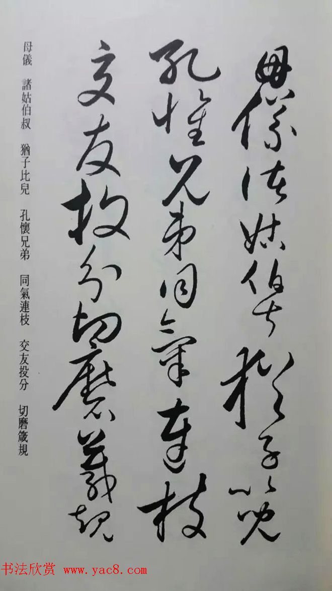 罕见的怀素草书《千字文》净云枝藏帖