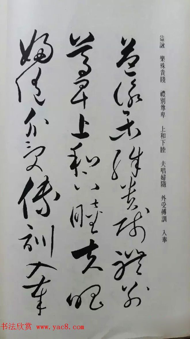 罕见的怀素草书《千字文》净云枝藏帖