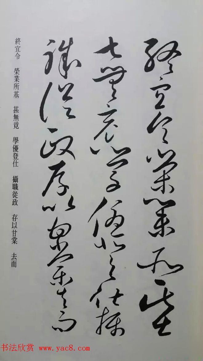 罕见的怀素草书《千字文》净云枝藏帖