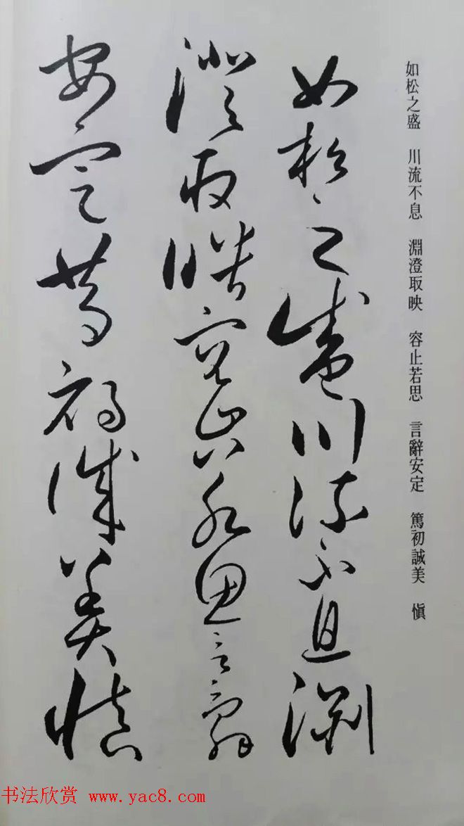 罕见的怀素草书《千字文》净云枝藏帖