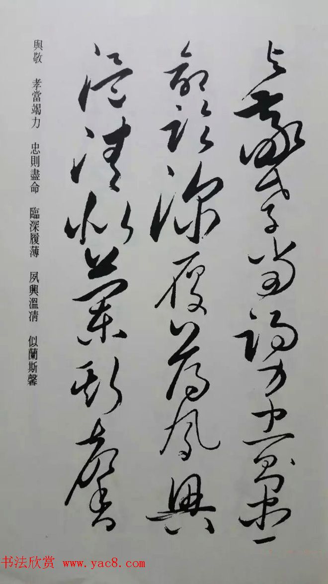 罕见的怀素草书《千字文》净云枝藏帖