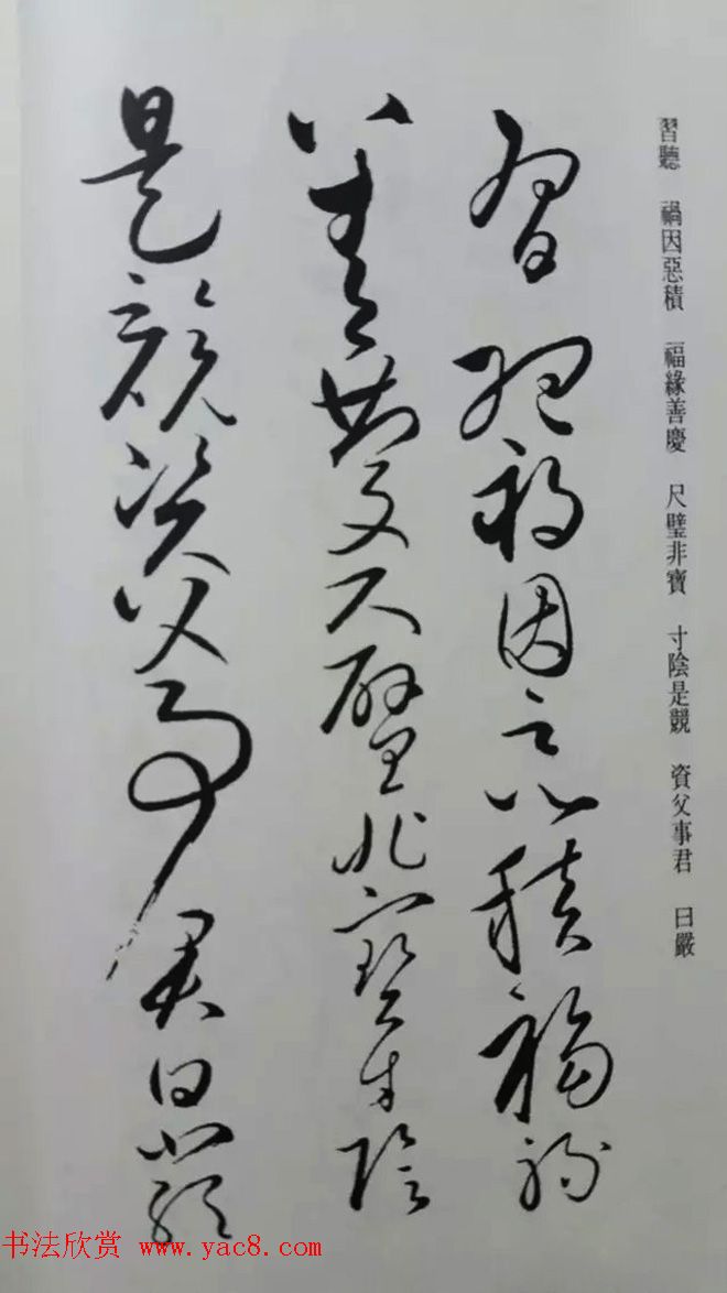 罕见的怀素草书《千字文》净云枝藏帖