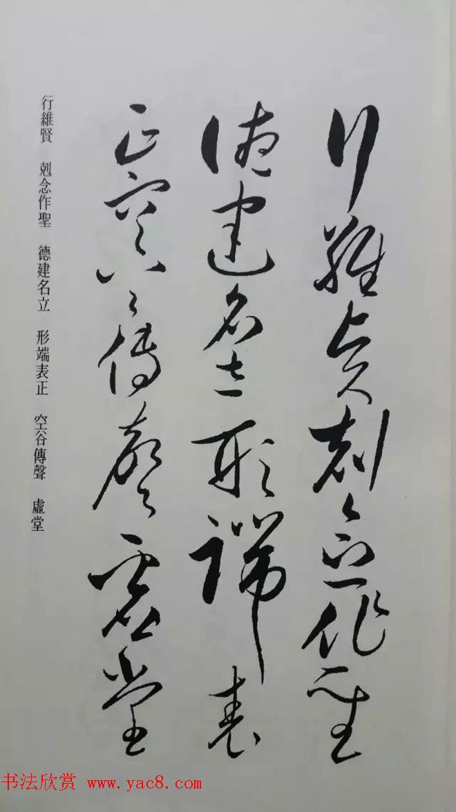 罕见的怀素草书《千字文》净云枝藏帖