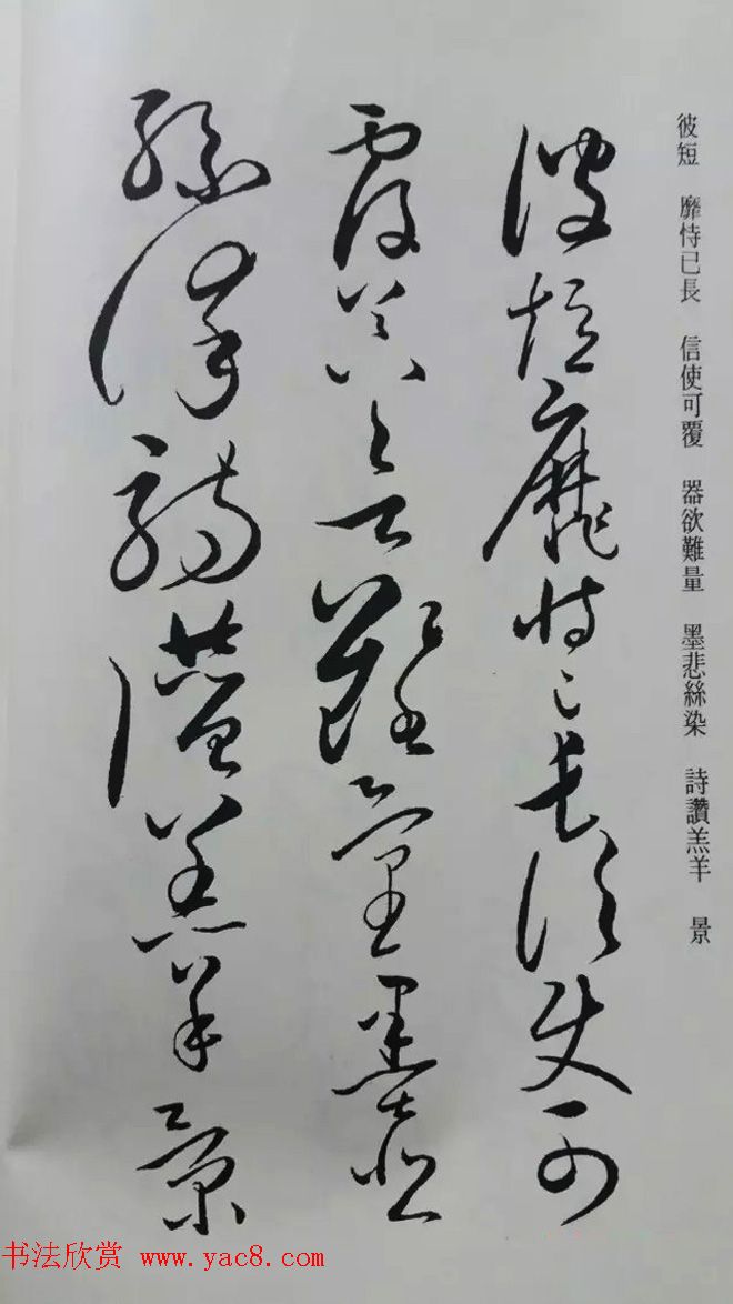 罕见的怀素草书《千字文》净云枝藏帖