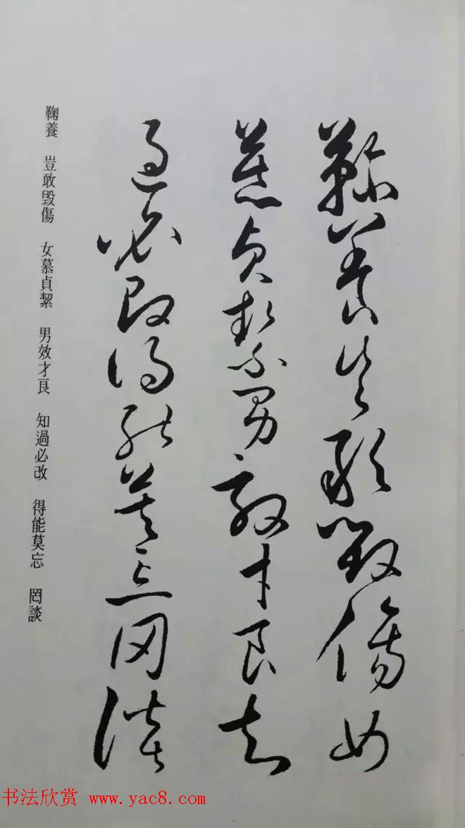 罕见的怀素草书《千字文》净云枝藏帖