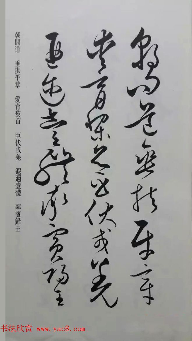 罕见的怀素草书《千字文》净云枝藏帖