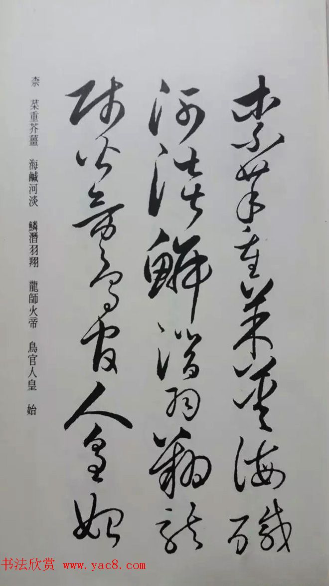 罕见的怀素草书《千字文》净云枝藏帖