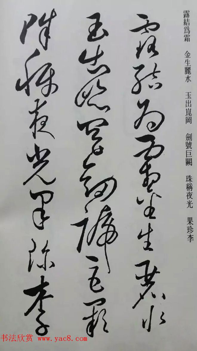 罕见的怀素草书《千字文》净云枝藏帖