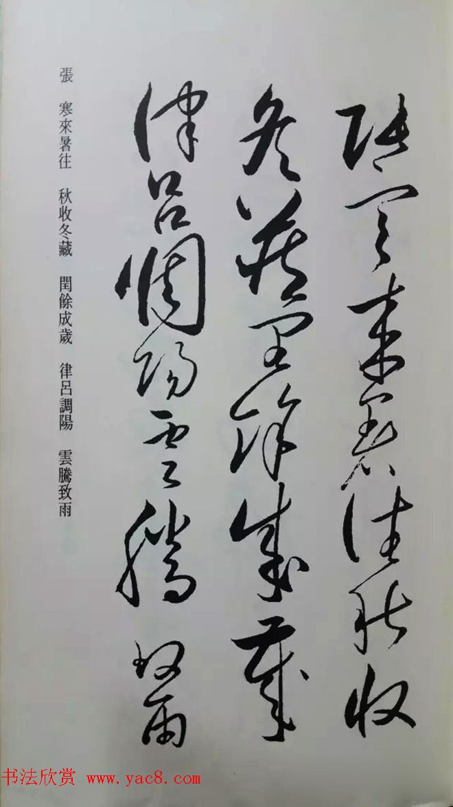 罕见的怀素草书《千字文》净云枝藏帖