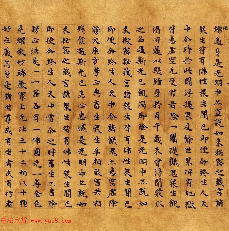 敦煌楷书写经《大般涅槃经卷第十一》