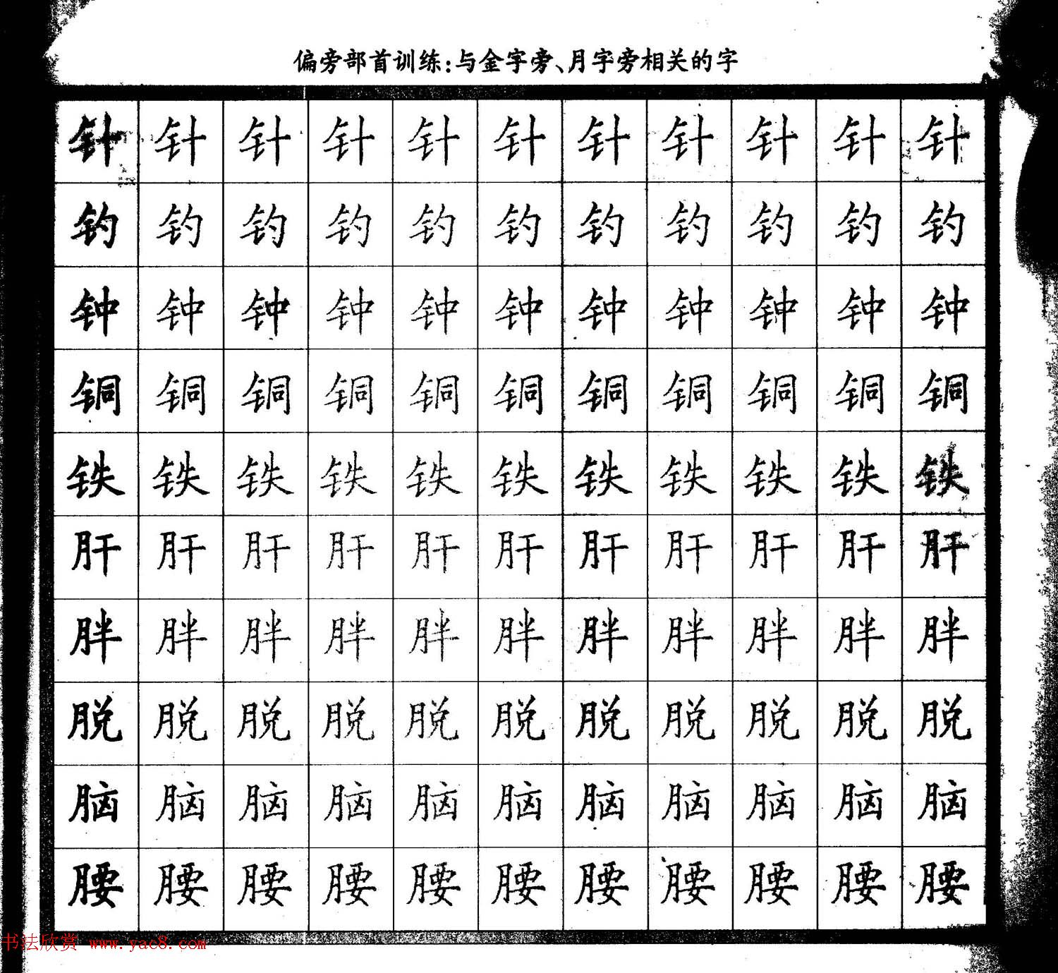 描红练字帖《从零开始学硬笔书法》