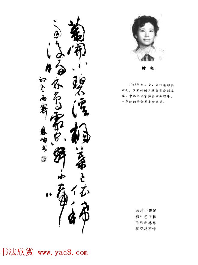 中日书法百家墨迹精华-中国书家作品