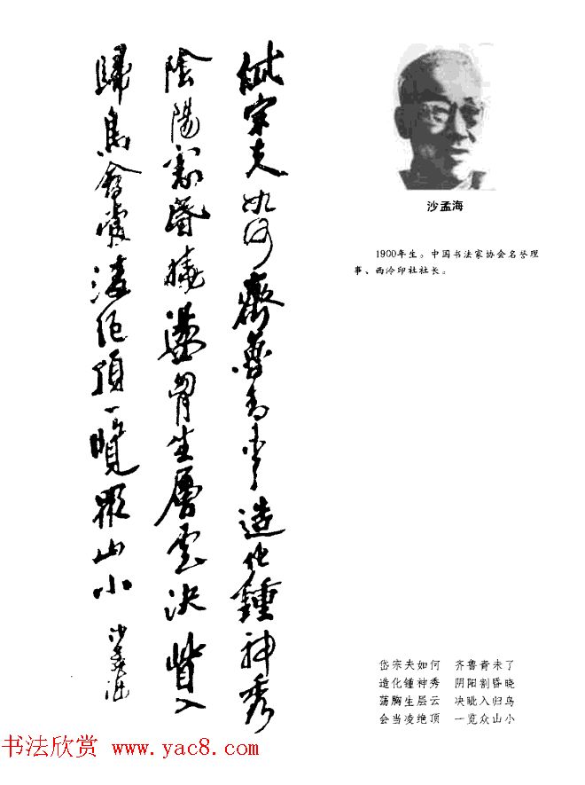 中日书法百家墨迹精华-中国书家作品