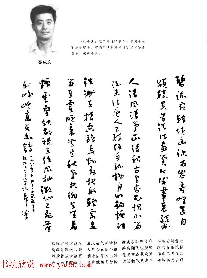 中日书法百家墨迹精华-中国书家作品