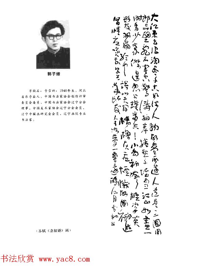 中日书法百家墨迹精华-中国书家作品