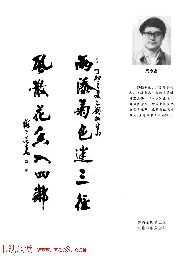 中日书法百家墨迹精华-中国书家作品