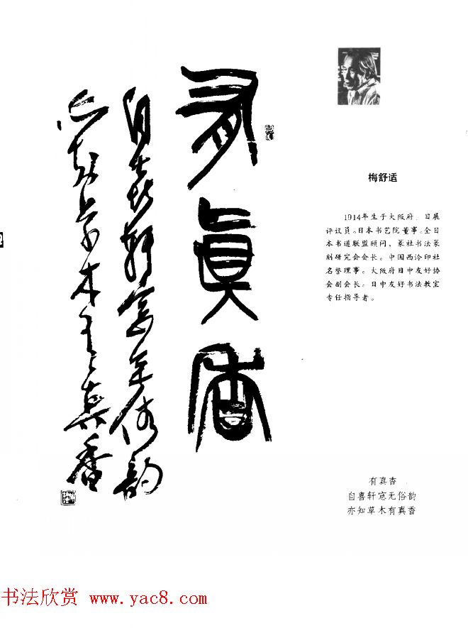 中日书法百家墨迹精华-日本书家作品