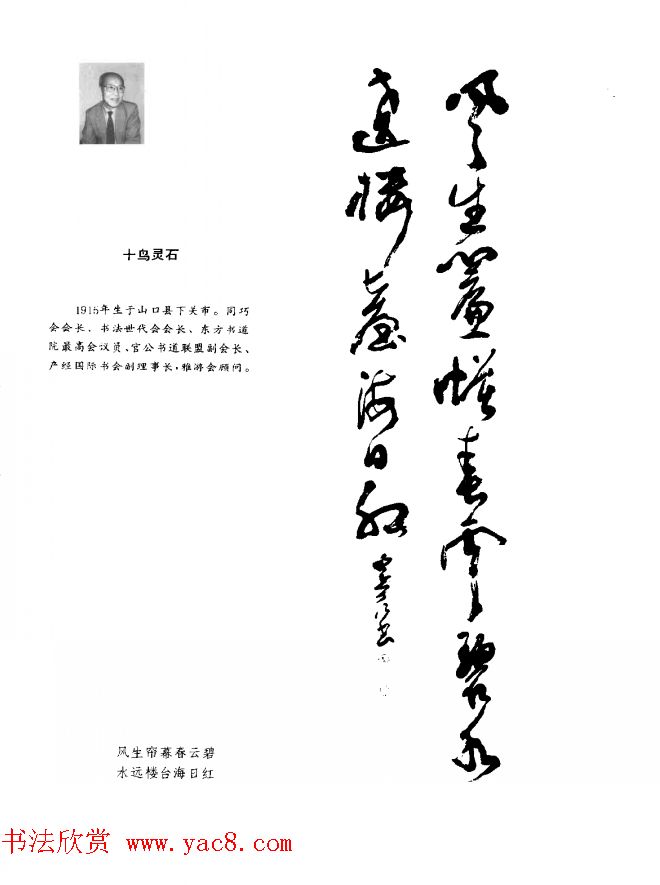 中日书法百家墨迹精华-日本书家作品