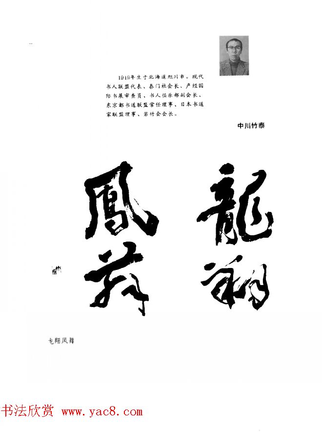 中日书法百家墨迹精华-日本书家作品