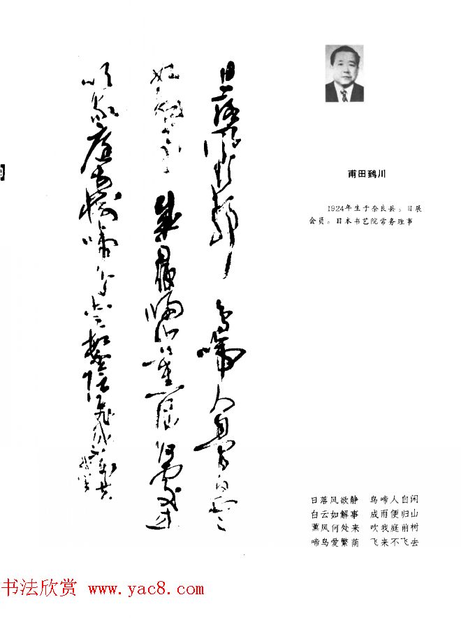 中日书法百家墨迹精华-日本书家作品