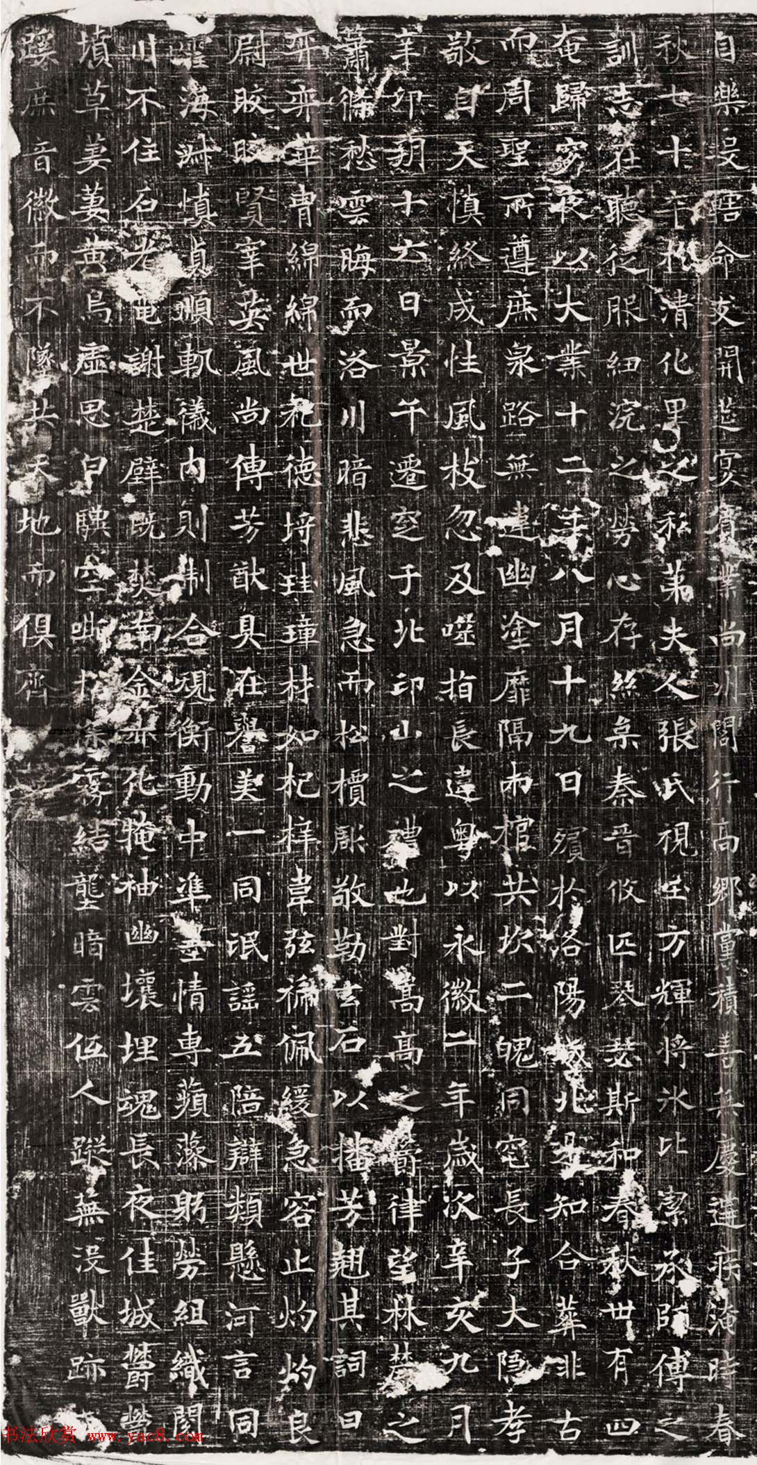 唐代正书石刻欣赏《杨艺墓志铭》民国拓本