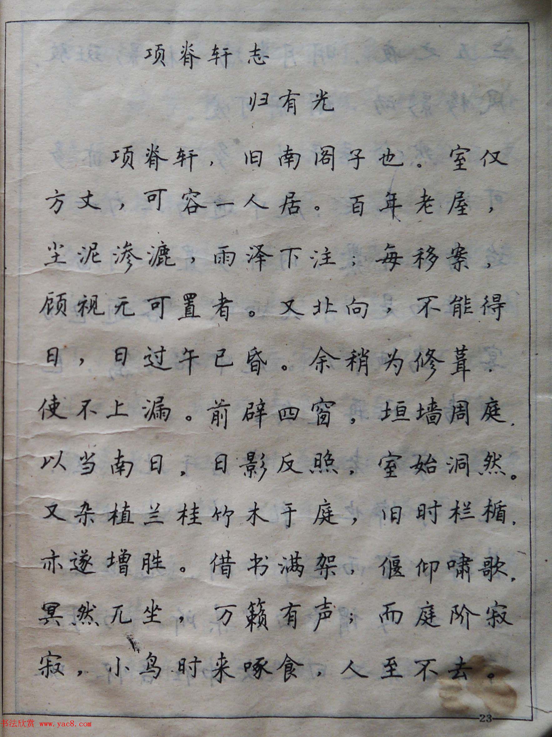 沈鸿根楷书行书草书三体钢笔习字帖