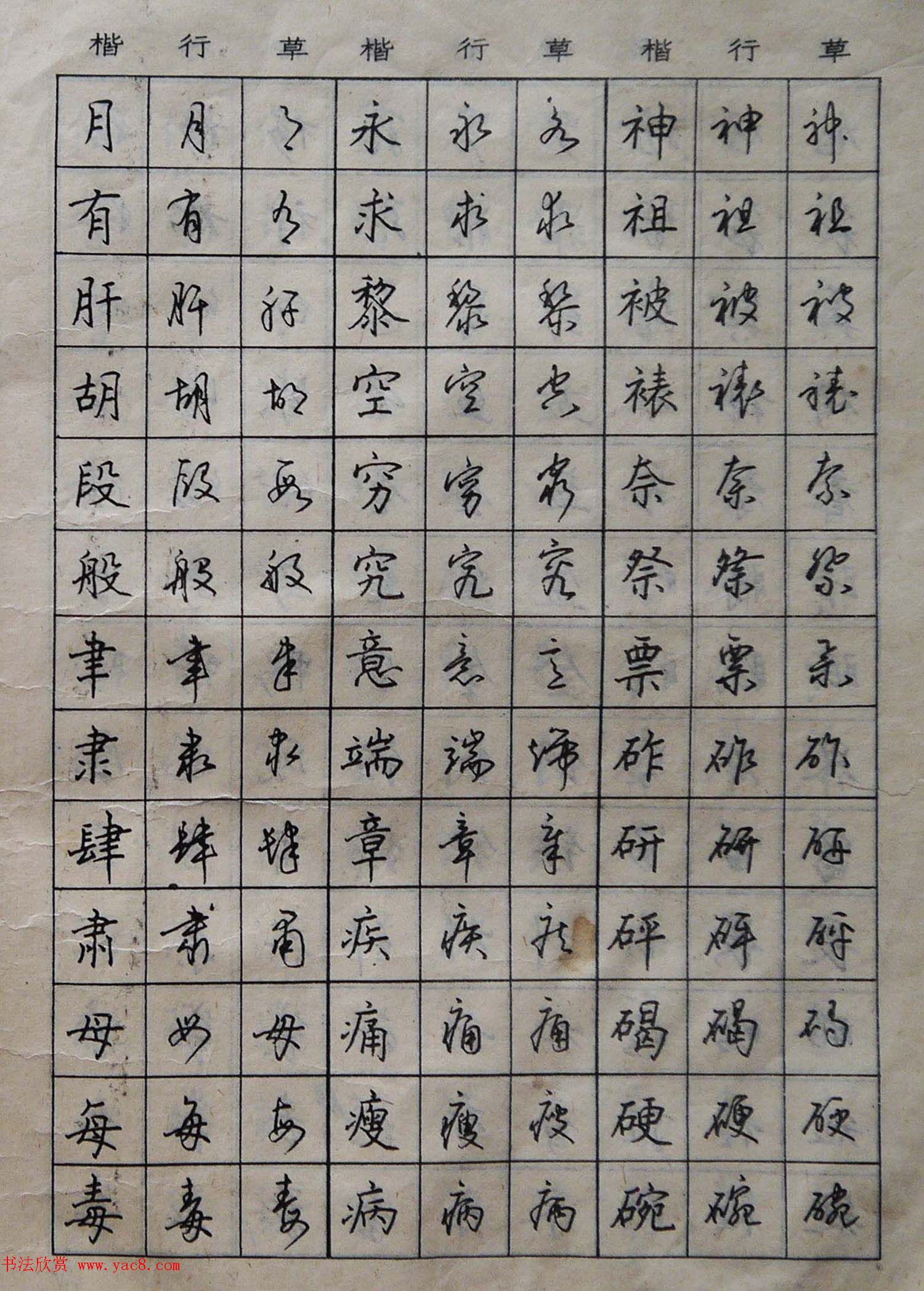 沈鸿根楷书行书草书三体钢笔习字帖