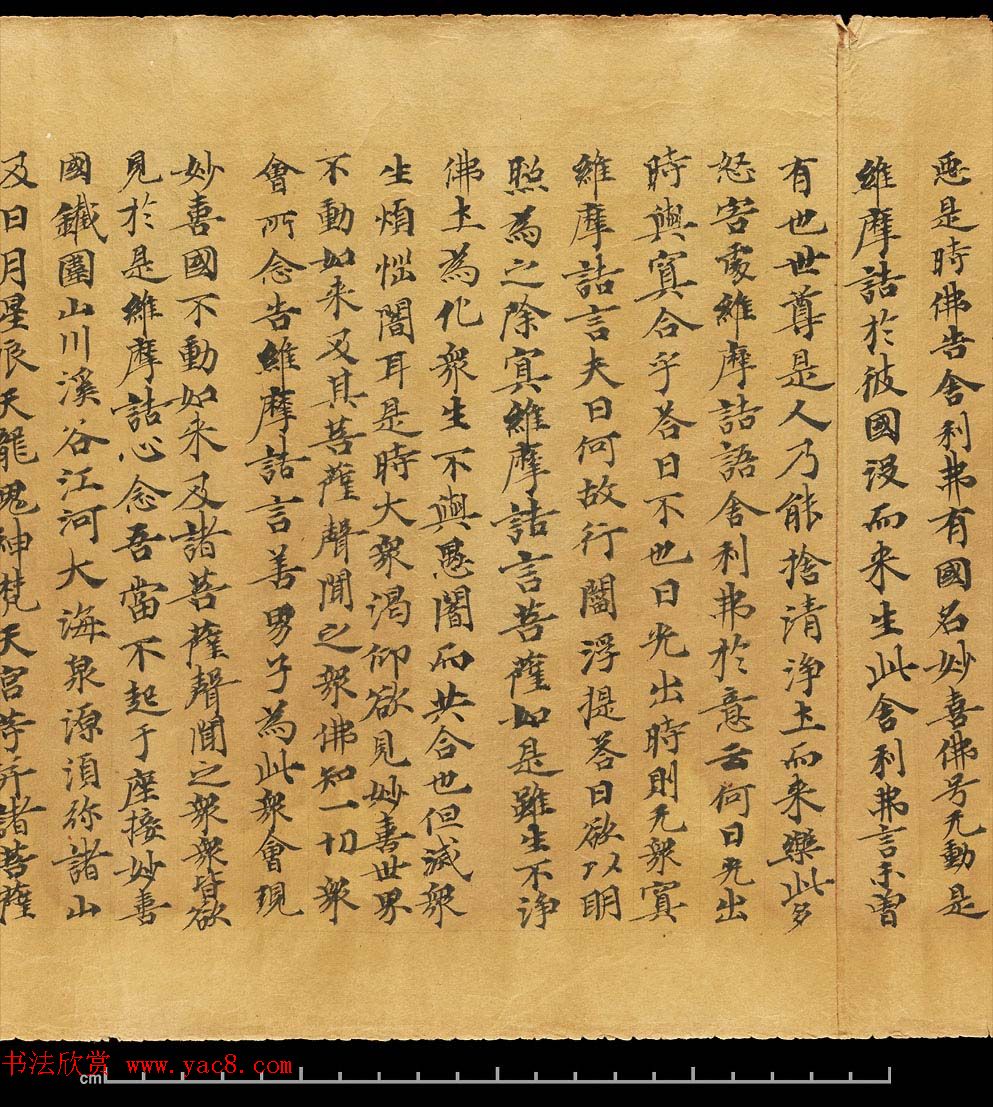 斯坦因敦煌手稿欣赏《维摩诘经卷下》大英图书馆藏